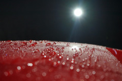 DSC00211